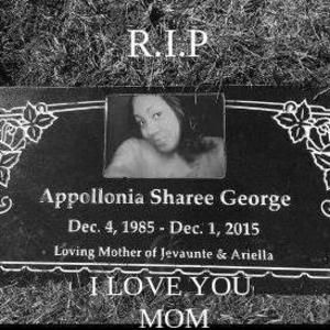 Meet your Posher, Tae